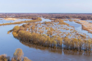 Число ушедших под воду дворов во Владимирской области сократилось до 163