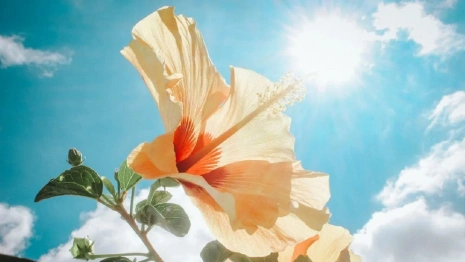 Владимирскую область накроет антициклон