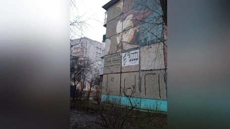 Владимирцы предложили обновить мозаику-портрет композитора Балакирева 