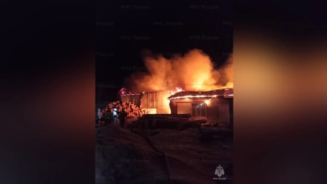 Во Владимирской области загорелась пилорама 