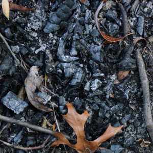 Во Владимирской области силовики сообщили о смерти 61-летнего мужчины на пожаре