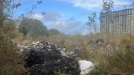 Во Владимире пропали ограждения у радиомогильника