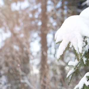 Во Владимирской области на рабочей неделе выпадет первый снег