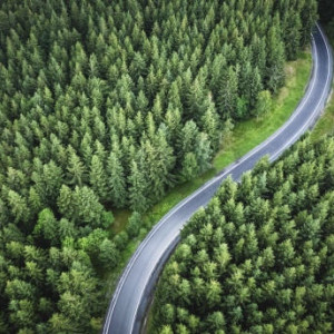 В Гусь-Хрустальном отремонтировали дорогу к нацпарку «Мещера»