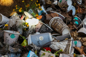 
Во Владимирской области на сельских мусорных площадках нашли нарушения