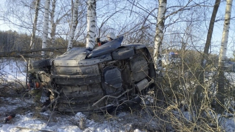 Под Меленками человека зажало в салоне «намотавшегося» на дерево авто