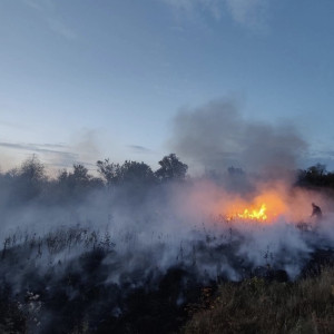 Во владимирском микрорайоне Оргтруд загорелась сухая трава