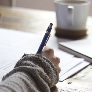 Владимирская областная комиссия ПДН разберется в деталях избиения школьницы в Курлово 