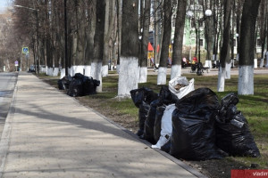 С улиц Владимира за неделю вывезли 130 тонн мусора