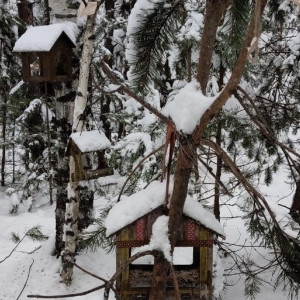 В парке «Сказка» в Гусь-Хрустальном построили деревню «Птичкино»