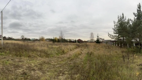 Бизнесмен из Московской области попал под следствие за махинации с землей в Кольчугино