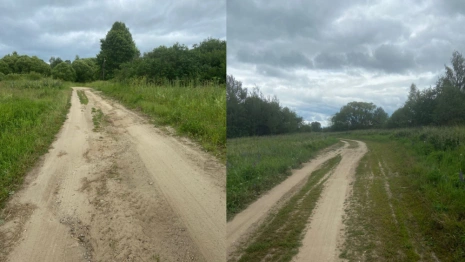 Единственную дорогу до Тимошкино под Кольчугино потребовали привести в порядок