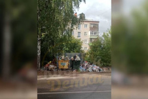 Жители Коврова потребовали переезда новых мусорных контейнеров