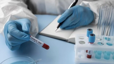 Во Владимире терапевта оштрафовали за выдачу «липовой» справки о прививке от ковида