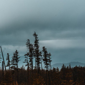 Во Владимирской области в выходные установится климатическая норма