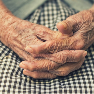 Во Владимирской области 300 пожилых жителей получили бесплатного помощника по уходу