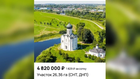 Боголюбовский луг в Суздальском районе выставили на продажу за 4,8 млн рублей