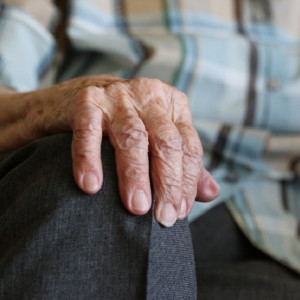 Жительницу Владимира осудили за обман пенсионерки на полмиллиона рублей
