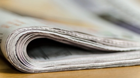 Ураган, утонувшие дети и свалка из трупов баранов. Главные новости недели во Владимире