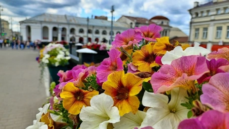 Прогноз погоды во Владимирской области на 27 июля