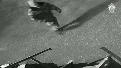 Во Владимирской области ищут свидетелей убийства: СК показал видео 
