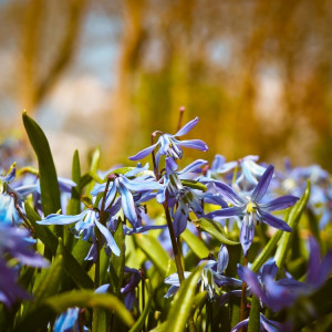 Прогноз погоды во Владимире и области на 21 апреля 