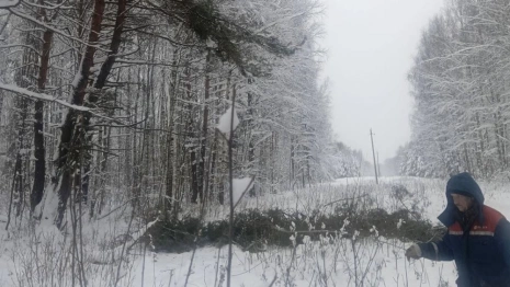 Во Владимирской области Гусь-Хрустальный и Меленковский районы остались без света