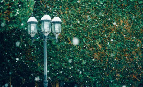 Прогноз погоды во Владимире и области на 19 апреля 2026 года