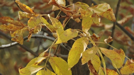 Прогноз погоды во Владимире и области на 13 мая 2024 года