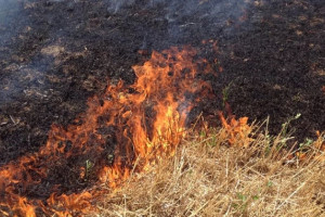 Во Владимирской области 11 пожаров выжгли 18 га сухой травы