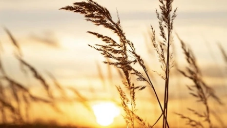 Прогноз погоды во Владимирской области на 29 сентября