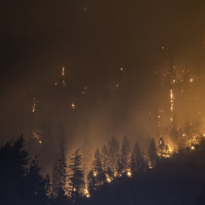 Во Владимирской области снова ввели особый противопожарный режим
