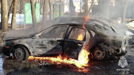 Во Владимире пожар в центральном парке уничтожил две машины