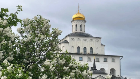Во Владимирской области наградят лучших специалистов региона