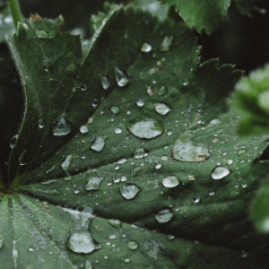 Дорожники предупредили о дожде на трассе М-12 во Владимирской области