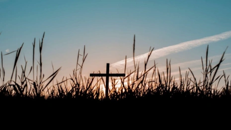 Во Владимирской области назвали районы с наибольшей смертностью
