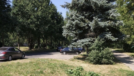 Благоустройство бульвара Художника Иванова во Владимире обойдется в 100 млн рублей