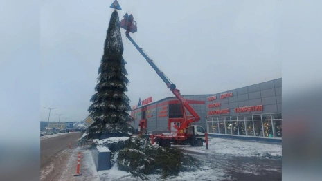 Во Владимире у «Тандема» собрали новогоднюю елку