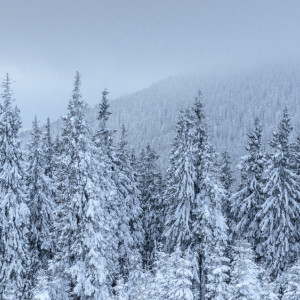 Во Владимире нашли 56-летнюю женщину в розовом домашнем костюме
