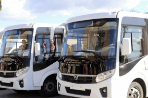 Во Владимирскую область поставят новые автобусы на 600 млн рублей