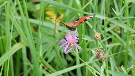 34 день Великого поста: что можно и нельзя 20 апреля 2024 года