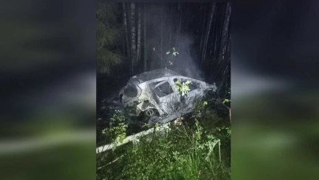 Во Владимирской области сгорел съехавший в кювет автомобиль