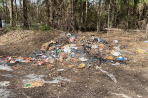 Во Владимирской области прокуроры нашли свалку из останков животных