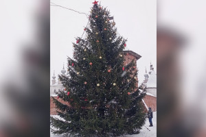 В центре Юрьев-Польского установили подаренную жителями елку