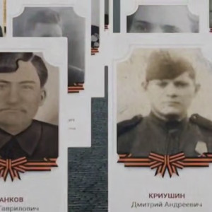 Еще один город во Владимирской области отказался от шествия «Бессмертный полк»