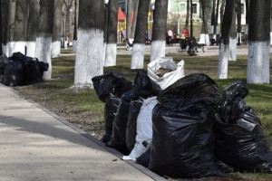 Владимирцев пригласили на общегородской субботник 20 апреля