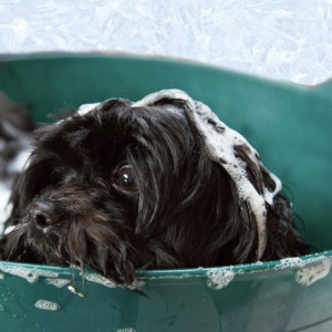 Филиппов день: что можно и чего нельзя делать 22 января