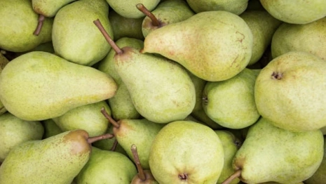 Во Владимирской области подорожали груши и огурцы