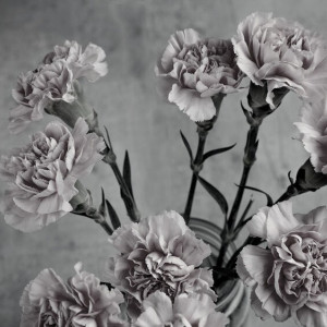 Пропавшего в ноябре 33-летнего мужчину из Владимирской области нашли мертвым