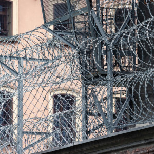 Владимирскую колонию освободят под пленных и зэков из Херсонской области?